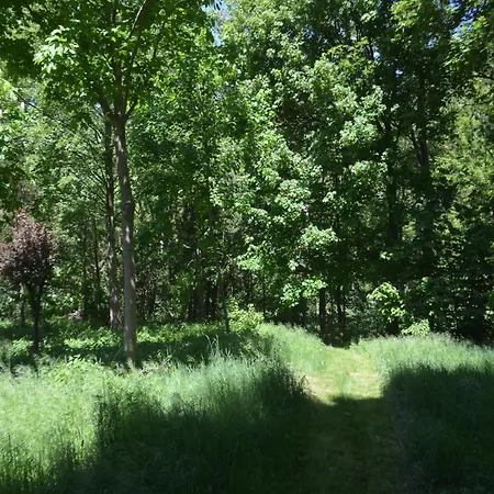 Fuer Neun Personen In Homberg (Schwalm-Eder)