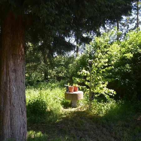 Fuer Neun Personen In * Homberg (Schwalm-Eder)
